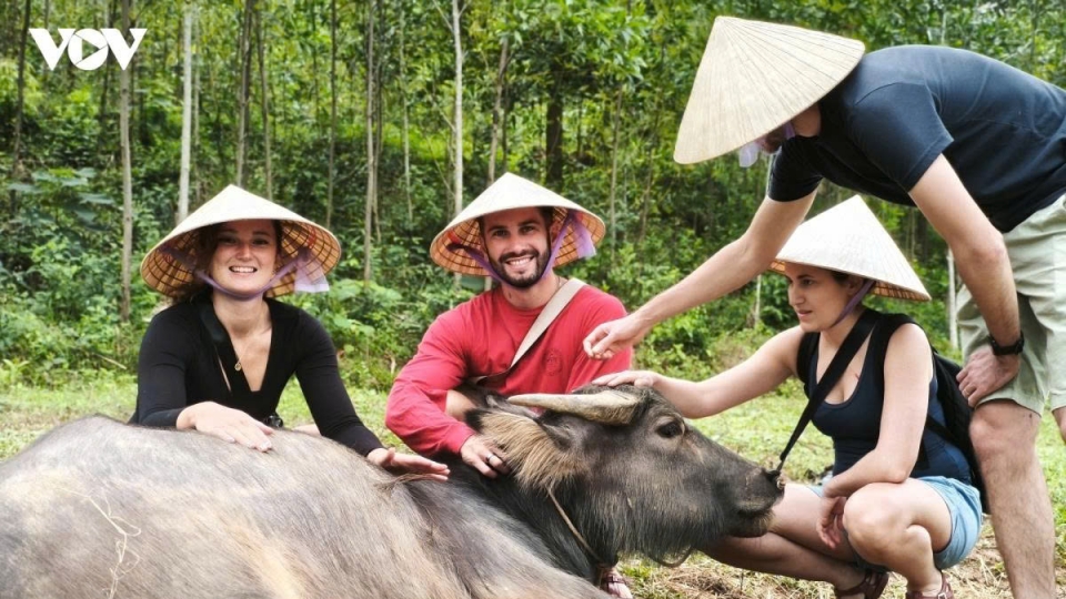 foreign-tourists_1.jpg