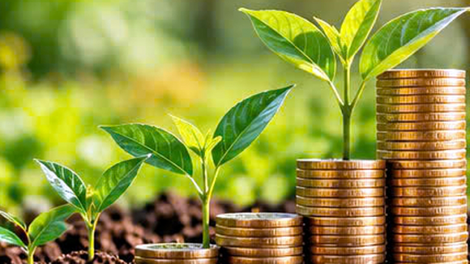 Phê duyệt Đề án Phát triển thị trường giao dịch hàng hóa phái sinh tại Việt Nam