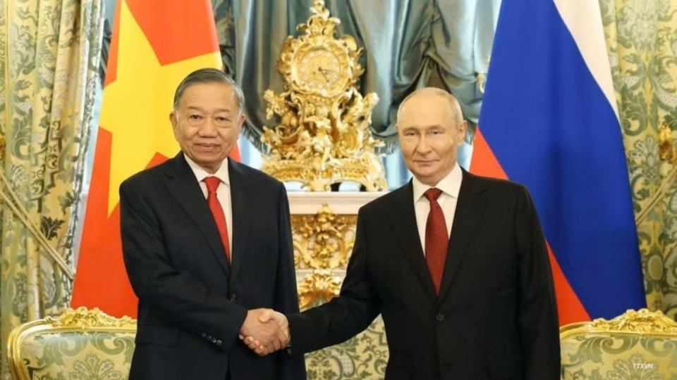hoi-dam-nga-viet-nam.jpg