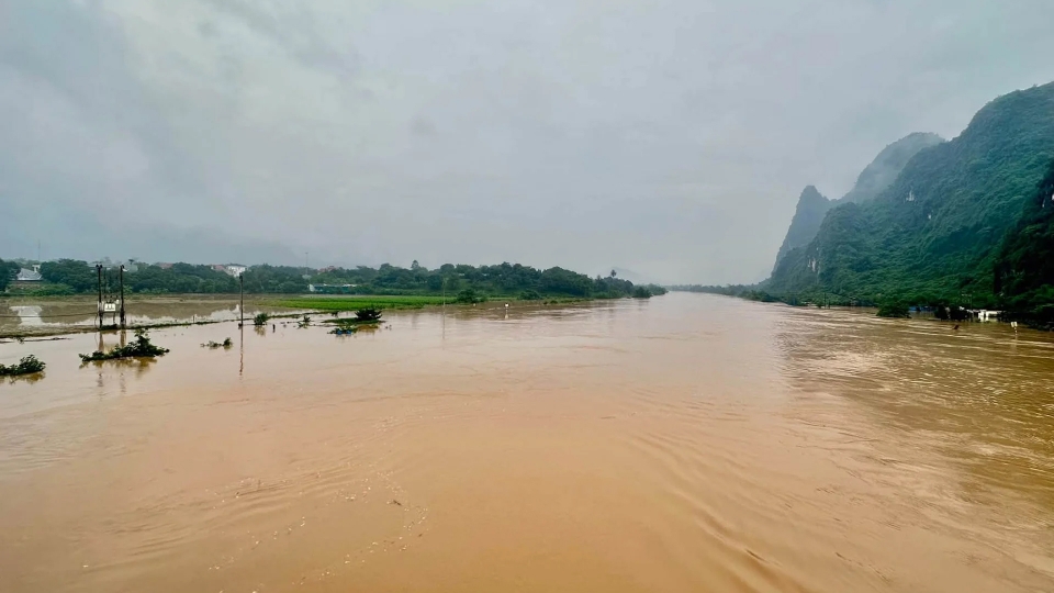 phu-tho-ngap-2.jpg