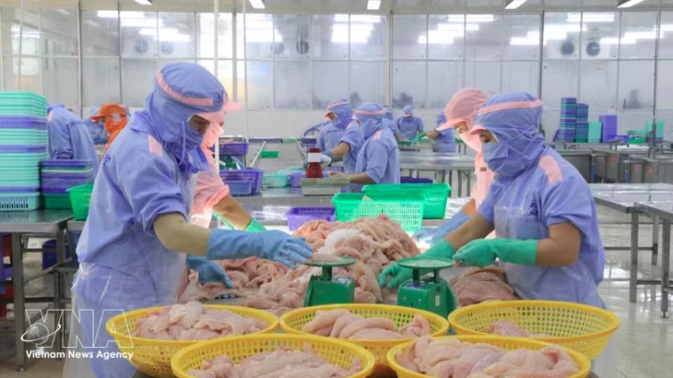 seafood-exports_0.jpg