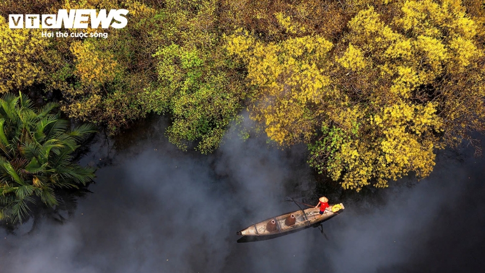 Charming beauty of Ru Cha mangrove forest in Hue City