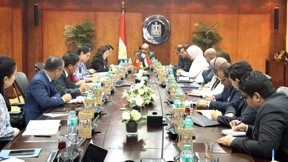 vietnam-and-egypt-step-up-fta-efforts-target-us1bln-in-trade.jpg