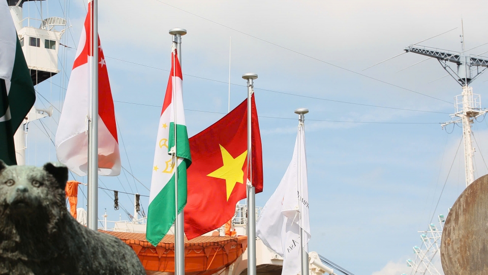 vietnam-national-flag-at-asiad-20.jpg