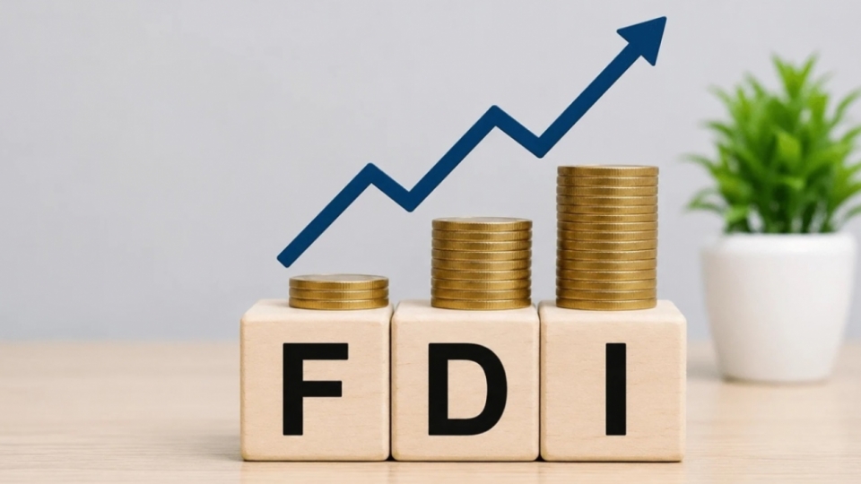 von-fdi.png