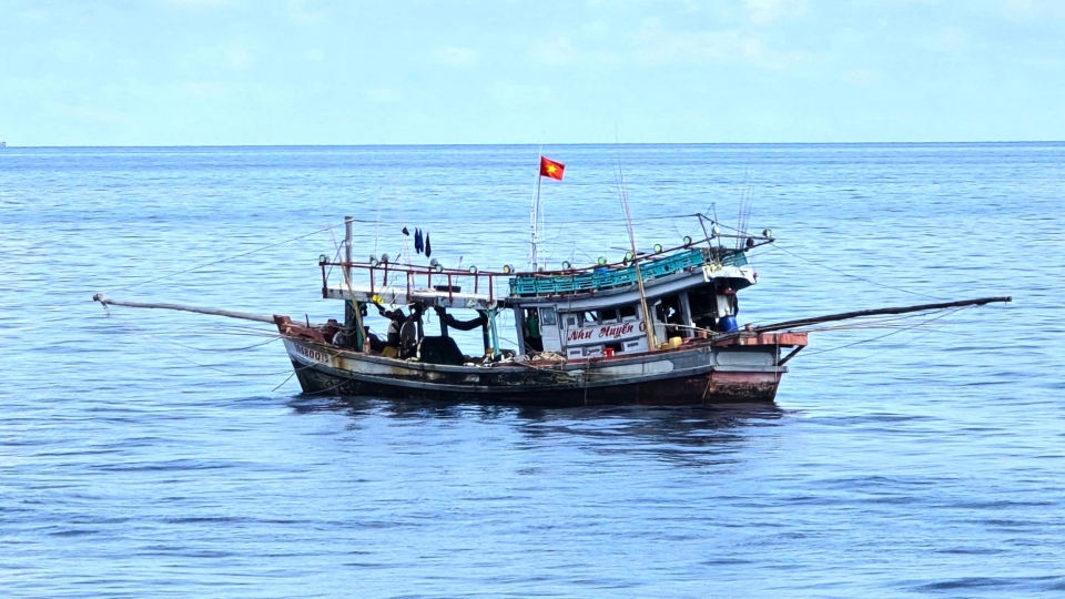 1-tinh-ca-mau-co-doi-tau-hon-5.100-chiec.jpg