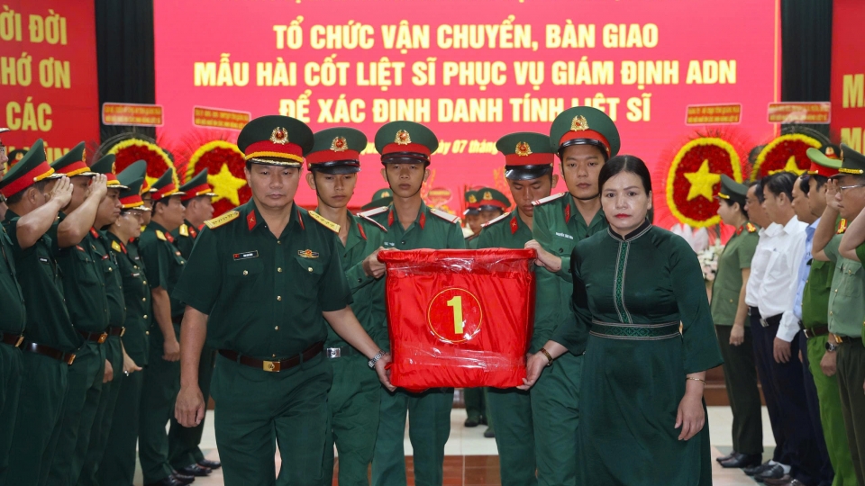 anh-adn-01.jpg