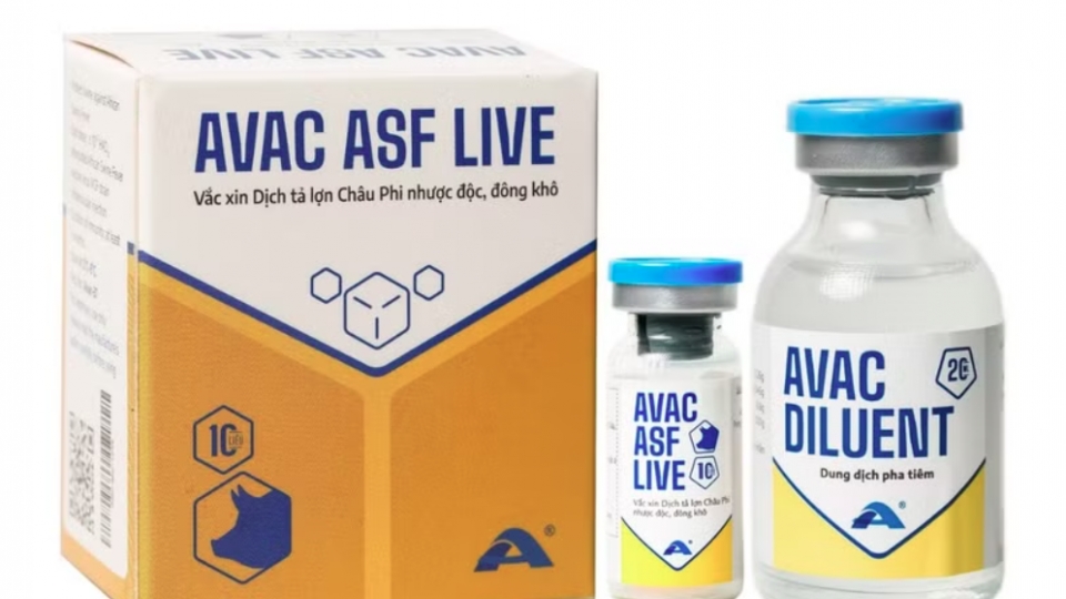 asf-vaccine.png