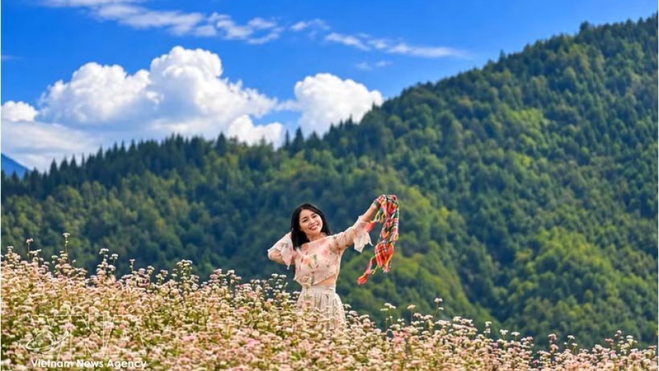 buckwheat-flowers.jpg