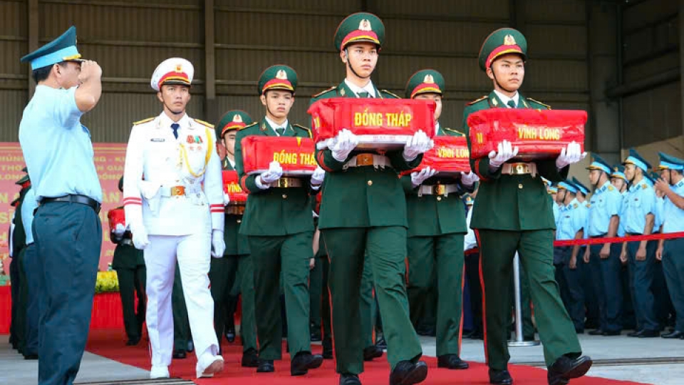 hai-cot-6.jpg