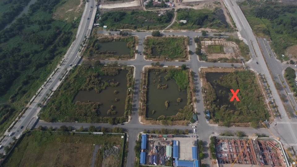 lo-dat-danh-dau-x-tung-duoc-cong-ty-con-thuoc-tap-doan-tan-hoang-minh-trung-dau-gia-hon-24-ty-dongm2.jpeg