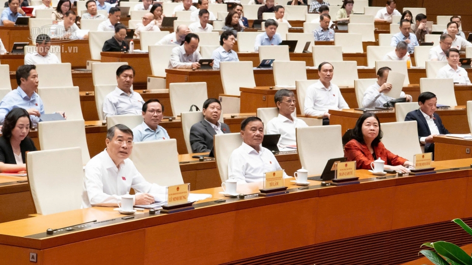 national-assembly-deputies-at-a-year-end-session-in-hanoi.jpg