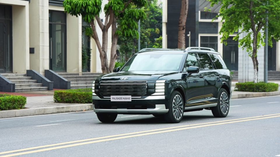 palisade-hybrid_5.jpg