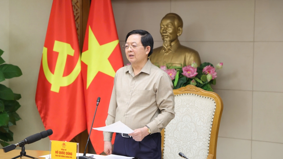 pho-thu-tuong-ho-quoc-dung-phat-bieu-chi-dao.jpg