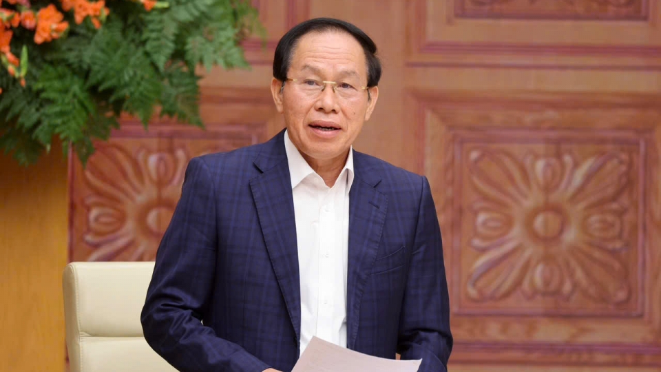 pho-thu-tuong-le-tien-chau-phat-bieu-tai-cuoc-hop-.jpg