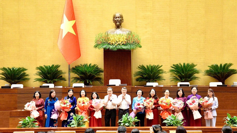 qh6.jpg