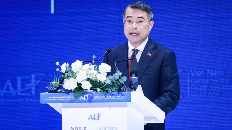 thu-tuong-mong-muon-cac-doi-tac-quoc-te-khong-chi-dau-tu-tai-viet-nam-ma-dau-tu-cung-viet-nam.jpg