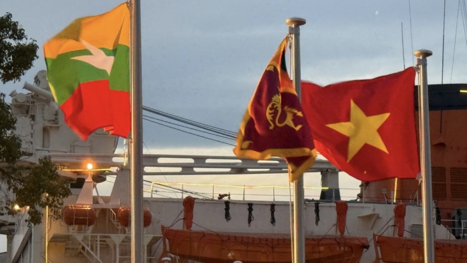 vietnam-flag-at-asian-para-games.jpeg