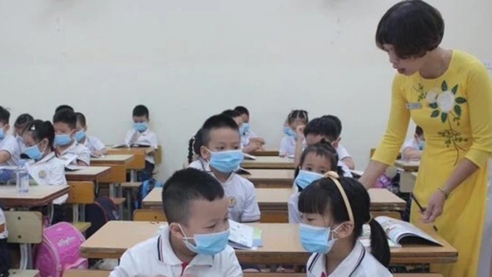 4986448-ava-iao_vien_anh_minh_hoa.jpg