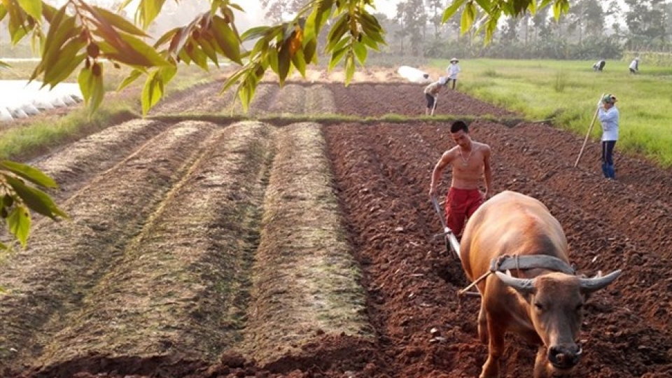 Farmers hail land tax waiver