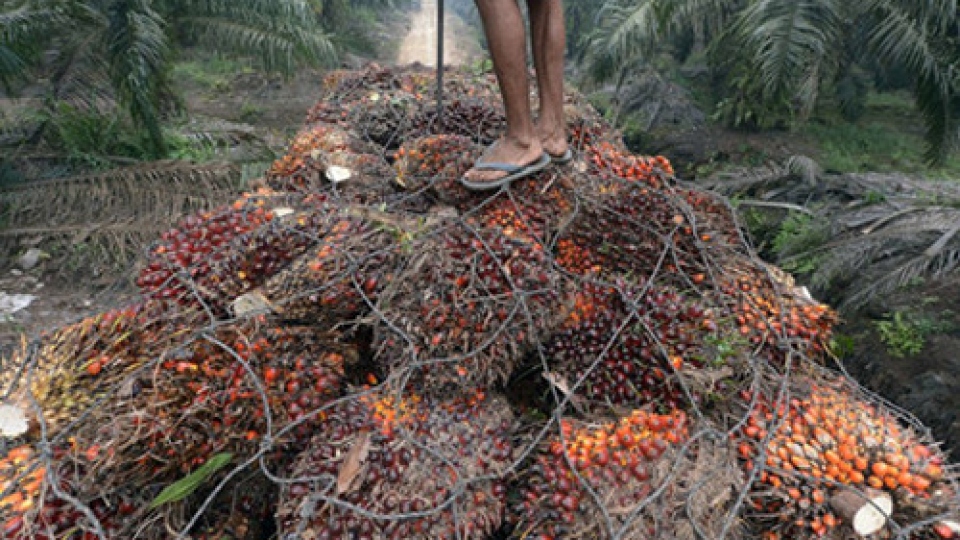 Global companies fight climate change