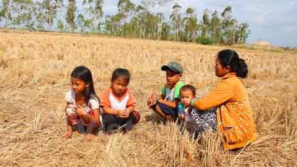 Vietnam calls for US$48.5 million for disaster response