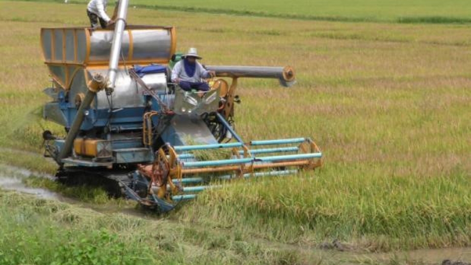 Sustainable agriculture development in ASEAN integration