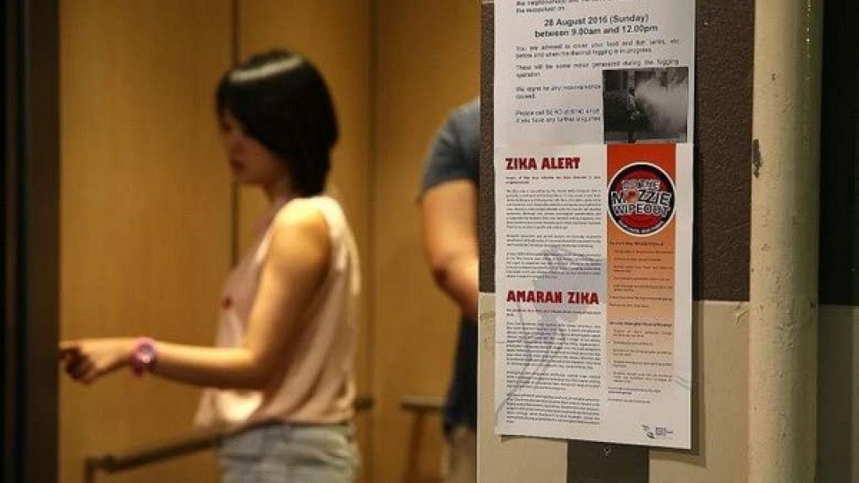 Singapore ministry confirms 41 Zika cases