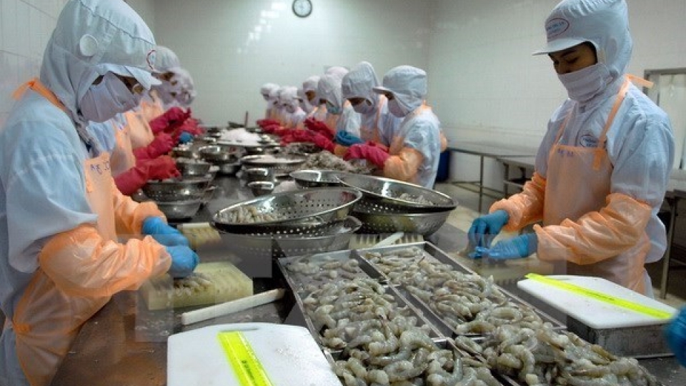 Binh Dinh works on hi-tech shrimp farming to raise export value