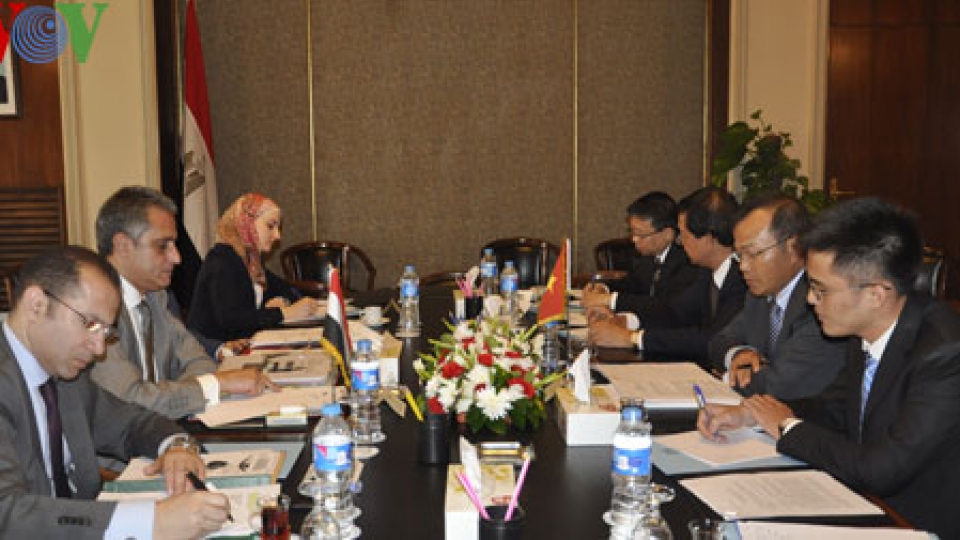 Egypt - gateway for Vietnamese products to Middle East