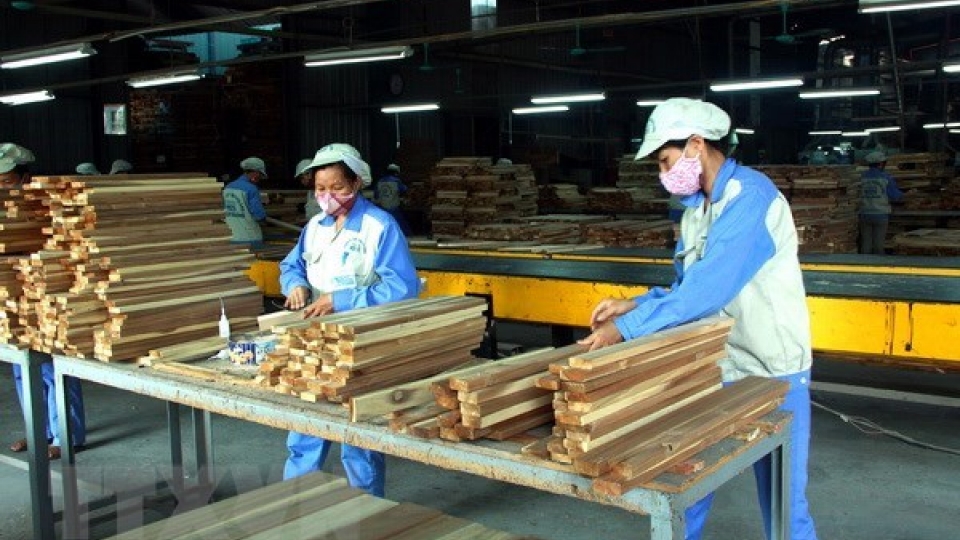 Forestry, aquatic exports expected to earn US$20.5 billion in 2019