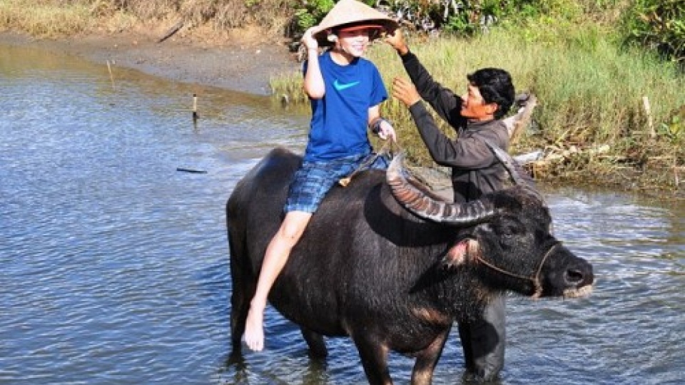 Hoi An offers unique farming experience to eco-tourists