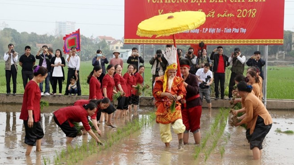 Festival commemorates Hung Kings’ teaching of rice cultivation