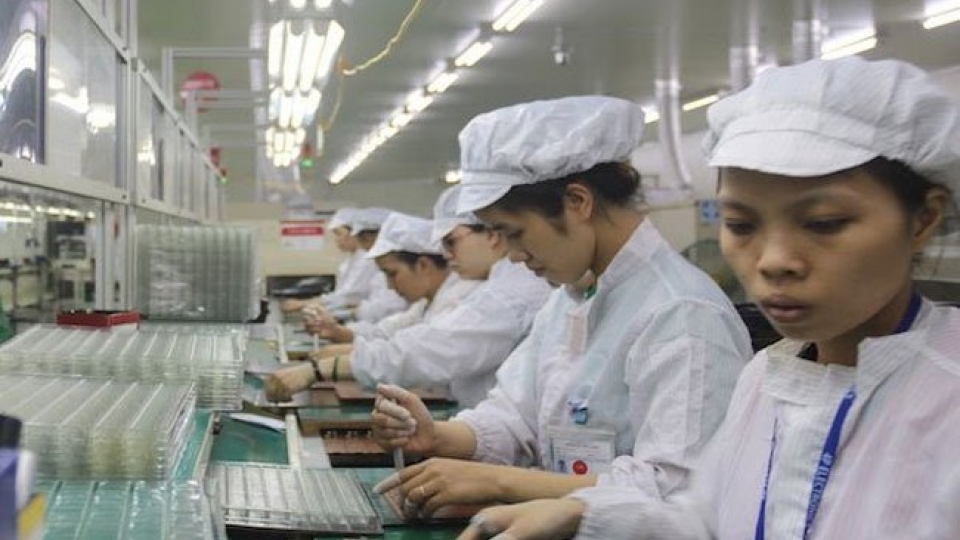 ILO: CPTPP helps Vietnam advance labor reforms