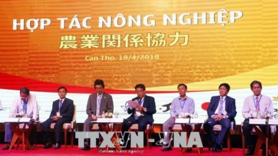 Can Tho city woos Japanese investors