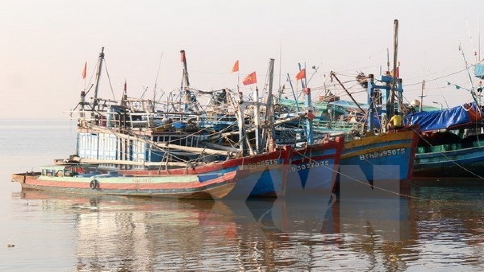 Localities roll out drastic measures to cope with Typhoon Tembin