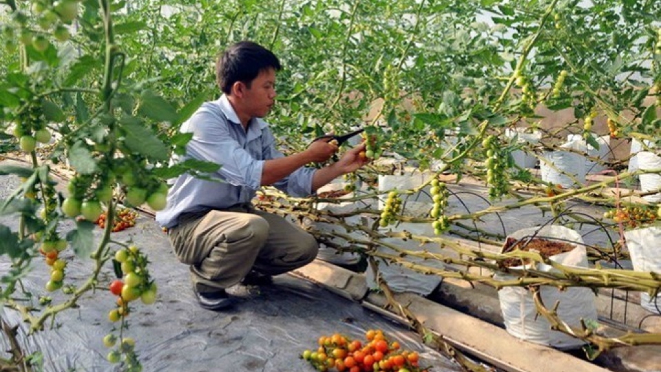 Nearly one-tenth of all agricultural firms set up in past six months