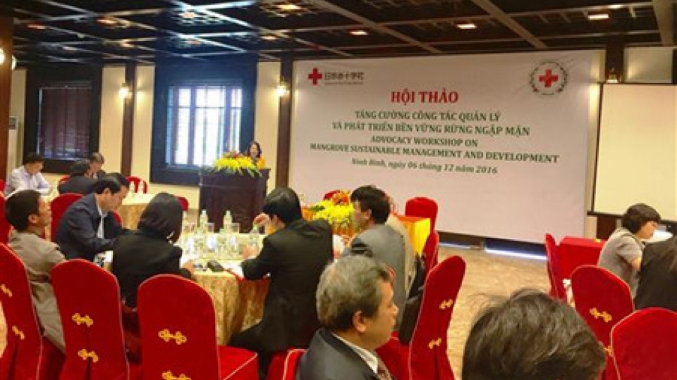 Seminar on mangrove forests management in Ninh Binh