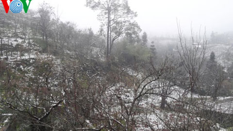 Cold wave sweeps northern region