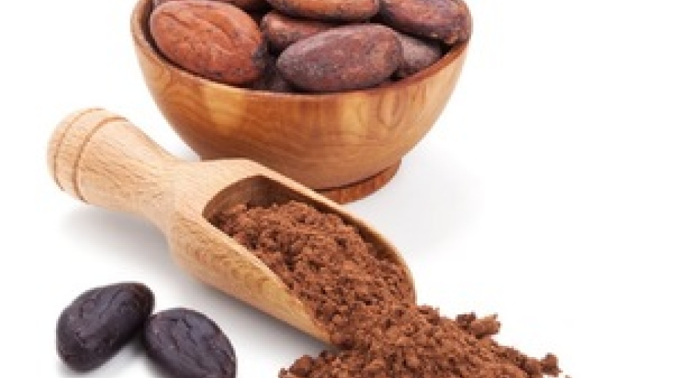 ORGANIC_CACAO_POWDER_ORIGIN_VIETNAM_WHATSAPP_84_jpg_300x300_HDJZ.jpg