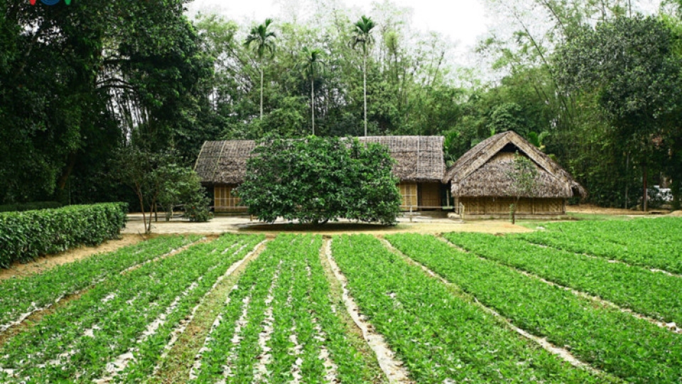 Visiting Ho Chi Minh’s house in Sen village