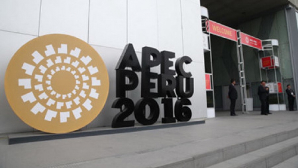 Vietnam to host APEC 2017