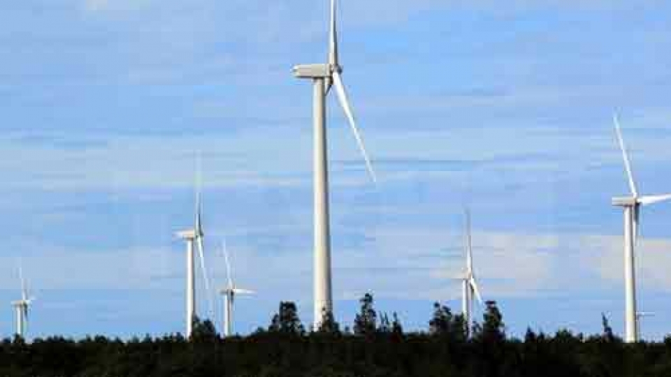 Renewable energy development needs support policy
