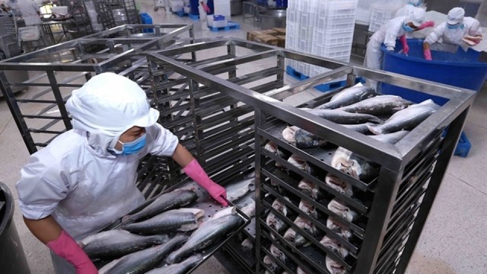 Tra fish industry faces challenges in production and export