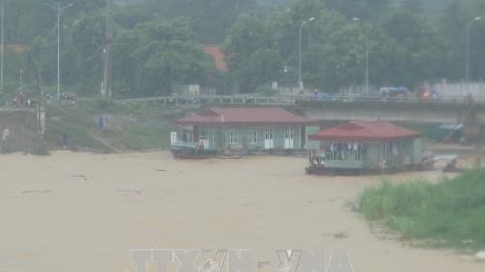 Downpour, flood wreak havoc in Hoa Binh province