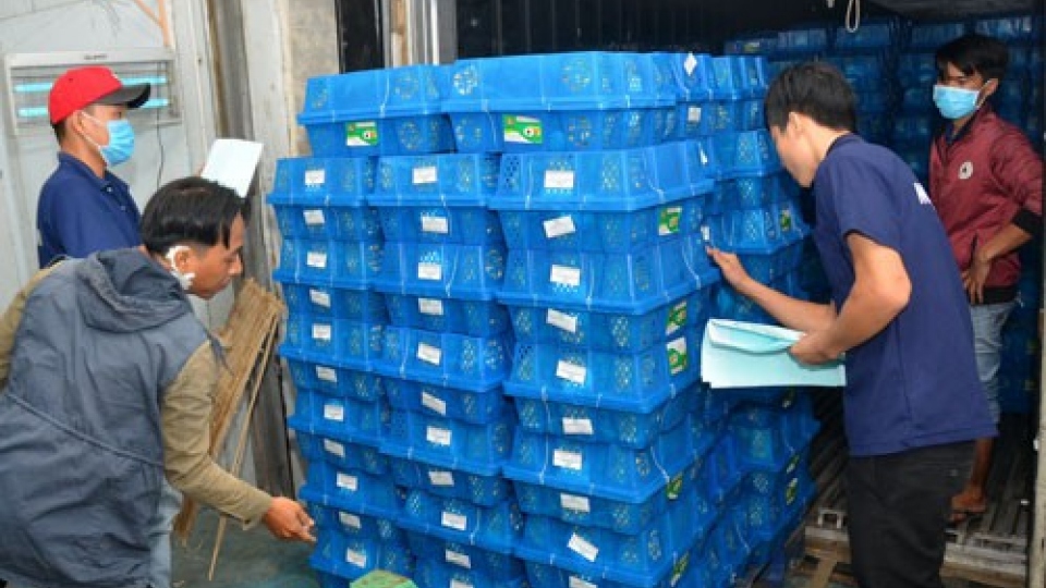 The door for Vietnamese products to US market narrows