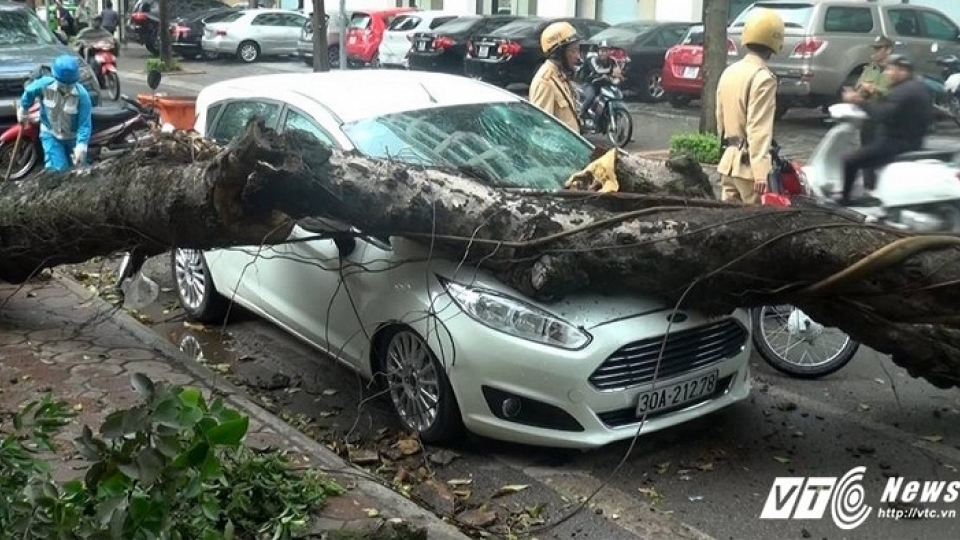 In photos: Storm rolls through Hanoi, causes accidents
