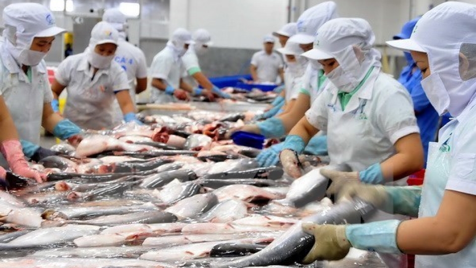 More firms hoped to ship aquatic products to Russia