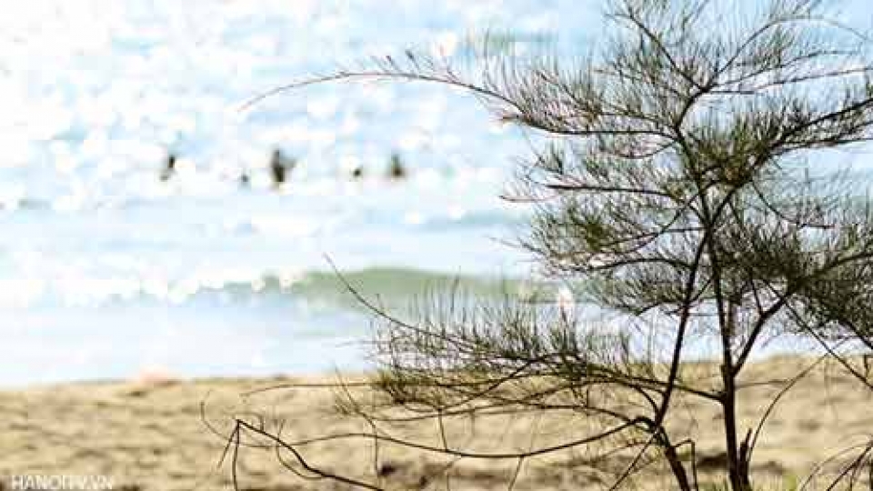 Explore the wild beauty of Phu Quoc Island