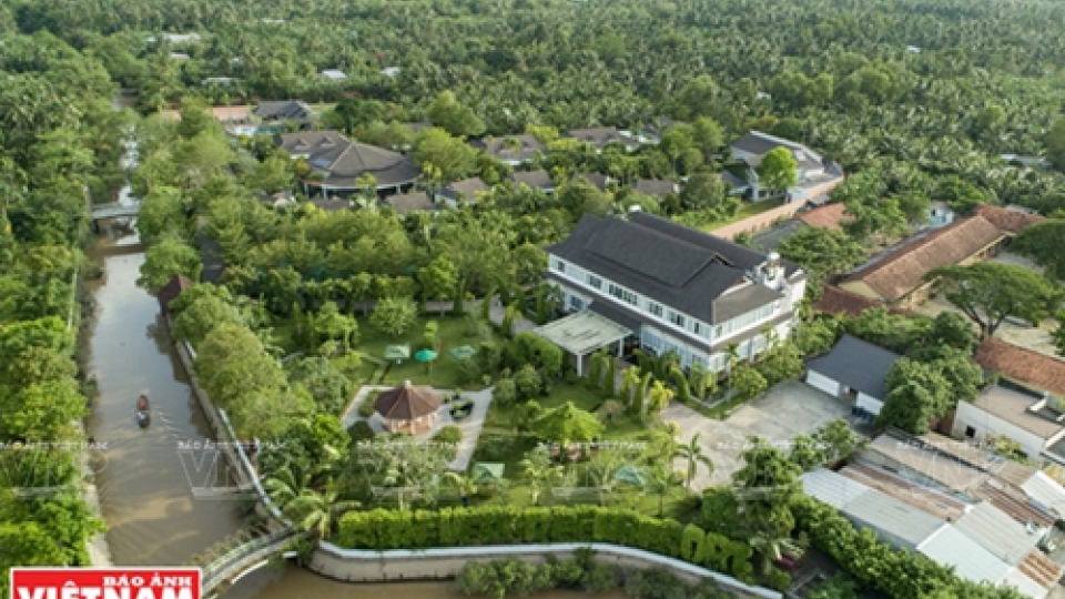 ben_tre_MXFW.jpg